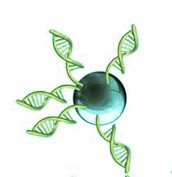 核酸提取/纯化试剂盒促销活动