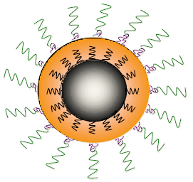 peg化四氧化三铁磁性纳米颗粒