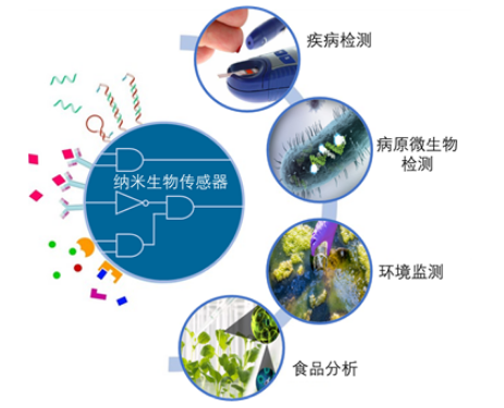 纳米生物检测
