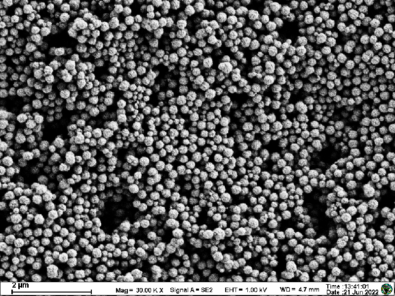100-500 nm 纳米磁珠
