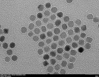 锌铁氧体磁性纳米颗粒（高温热解法）