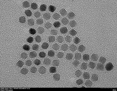 锰锌铁氧体纳米颗粒（高温热解法）
