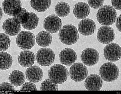 介孔二氧化硅纳米颗粒