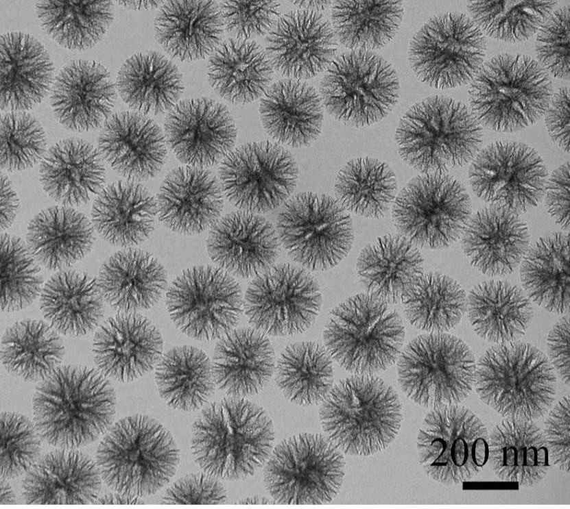 树枝状介孔二氧化硅纳米颗粒