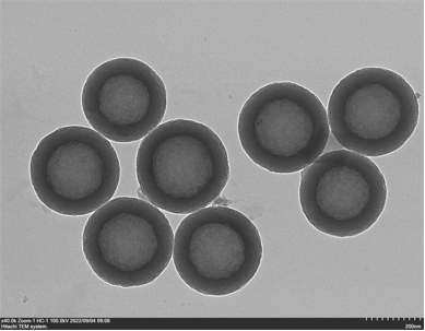 中空介孔二氧化硅纳米颗粒