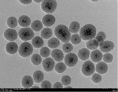 单分散磁性介孔二氧化硅纳米颗粒