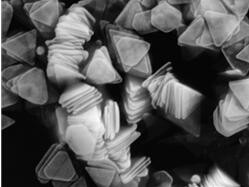 特殊形状Au纳米颗粒