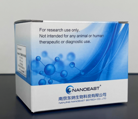 人细胞分选/激活磁珠和试剂盒