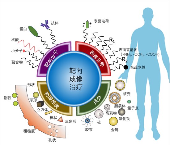 纳米诊疗一体化