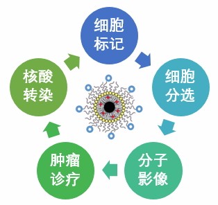 生物医学纳米材料