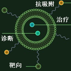 纳米诊疗一体化